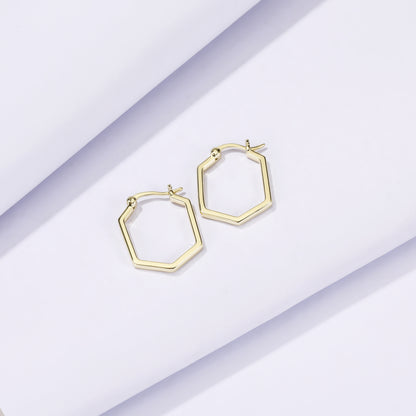 Orecchini a geometria cava